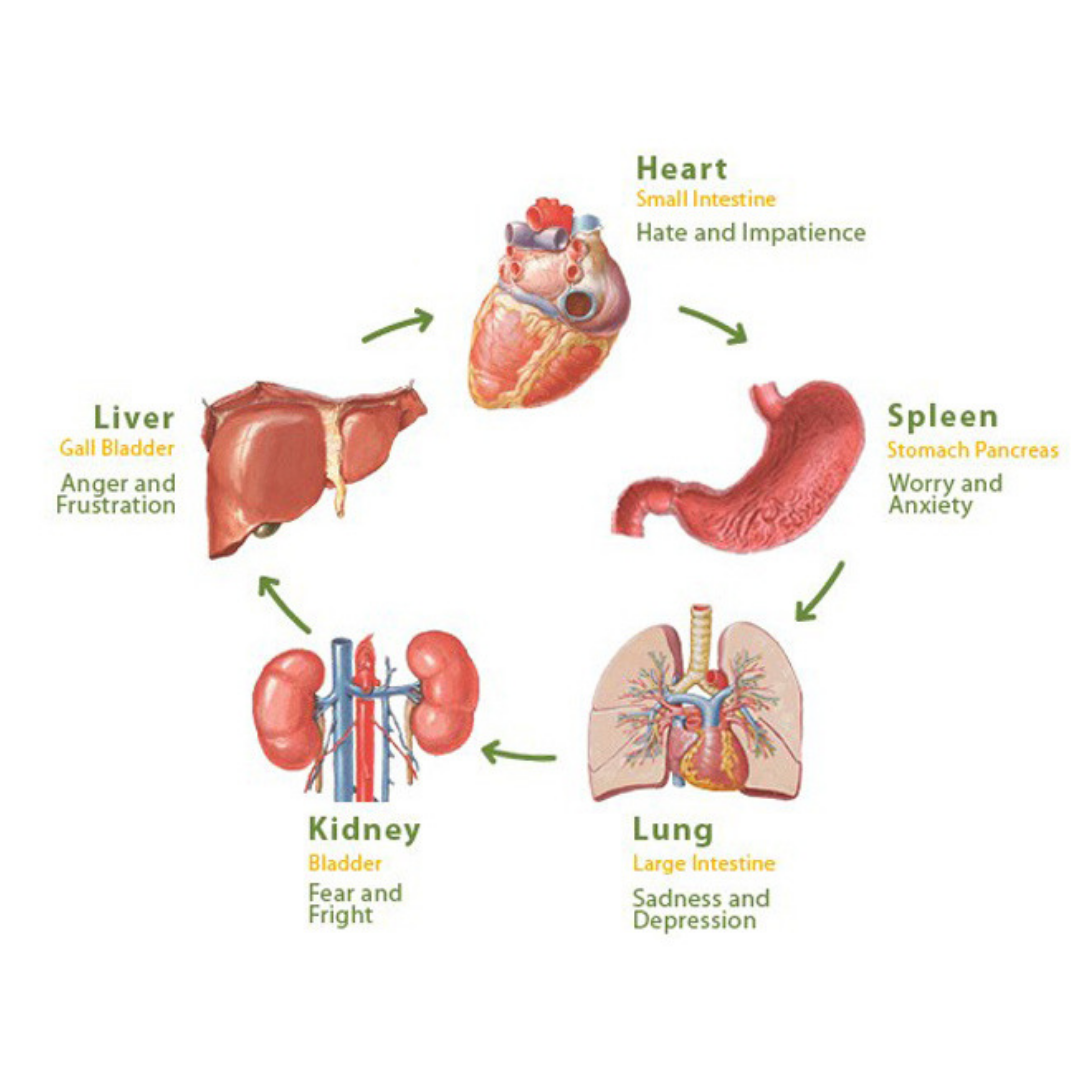 HOW-EMOTIONS-EFFECT-OUR-BODY.png